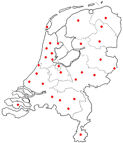 Floorsystems uw partner in heel Nederland